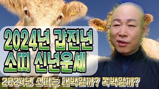 [ 2024년 갑진년 소띠 신년운세 ][영점, 신점] [사주,문서운,연애운,풍수지리,사주팔자] [산신국사][…