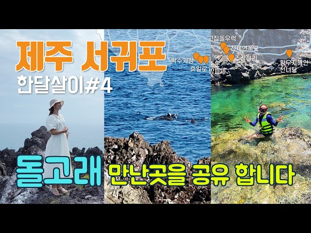 제주여행 🌴서귀포 여행 코스 추천 / 주상절리 / 중문방파제-하예진황등대 돌고래🐳🐳🐳/ 황우지 선녀탕-스노쿨링/고집돌 /  천제연폭포 /돗통/카페 휴일로/ 박수기정/A7C - Youtube