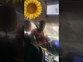 Eiii Ghana drive set his own rules. Listen what he said 😄 🤣 😂 😆