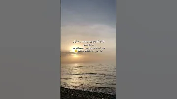 زينة زينة دنيا كي نلقاو لي يبغينا 
