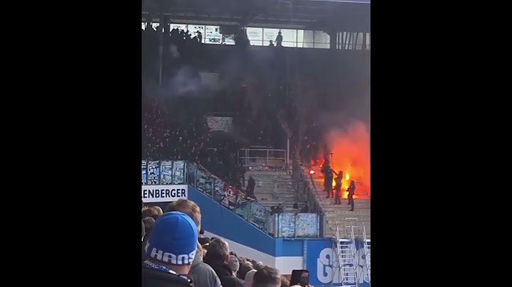 Hansa Rostock vs Dynamo Dresden Attacked 1312. Germany 22.02.2025 @Afernan21