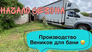 картинка: Заготовка Веников| сбор банных веников| производство Веников