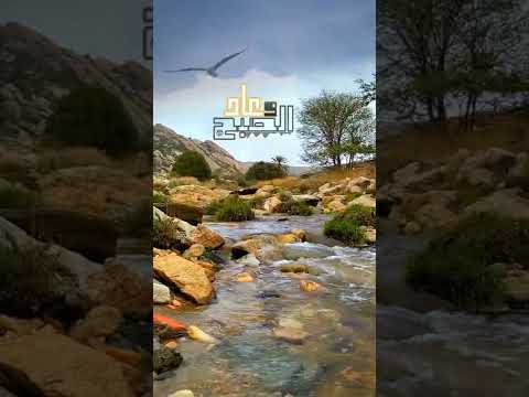 وعاد الصبح يحمل 1000 بشرى ارستقراطي