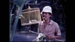 LAGU ASAL PICKUP LINE SEPAHTU - ORANG KAMPUNG OTAK KIMIA 1990