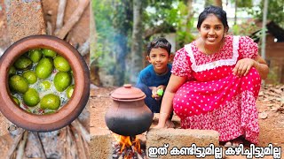 Amma Special പഴുത്ത മാങ്ങ കനലിൽ പുഴുങ്ങിയത് Village കുടുക്കാച്ചി