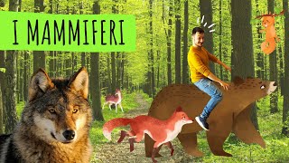 VERTEBRATI #5 - I MAMMIFERI - Le scienze spiegate FACILI