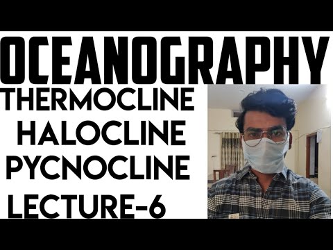 Video: Wat is halocline in de geologie?