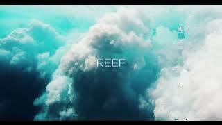 Download lagu R3DN1K - Reef