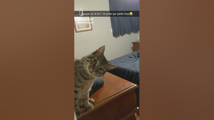 excusez moi monsieur mais qui êtes vous.