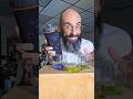 The 852655 Mystery thumbnail