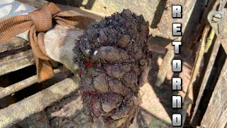 Superando a Maior ...o Retorno