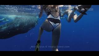 Sperm Whale Playing with people in ocean Water Sperm Whale Playing with people in ocean Water