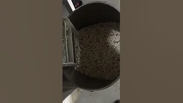 Moringa Seeds Shelling Machine Seeds Hulling Machine 