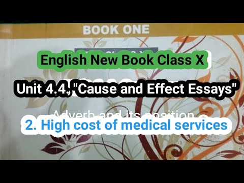 high cost of medical services essay