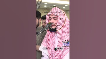 تلاوة خاشعة ومريحة بصوت هادئة / قرآن الكريم حالات واتساب