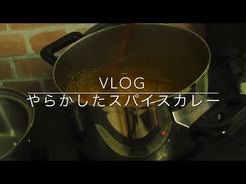 料理音ASMR[VLOG]#9 やらかしたスパイスカレー[失敗篇]