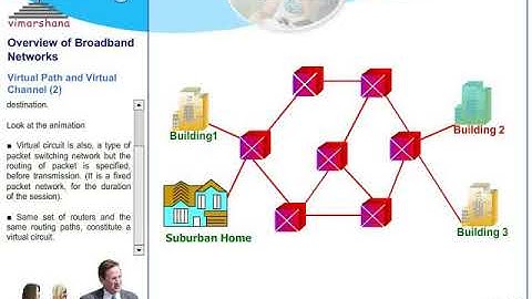 T  8.3 ATM  Virtual Path (VP) and Virtual Circuits (VC) in detail and Cell relay switching