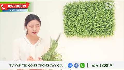 Cách tự thi công tường cỏ nhân tạo - Tường cây giả - Cỏ nhân tạo ốp tường