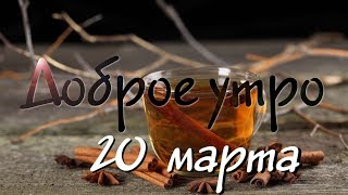 Доброе утро - Выпуск 114 (20.03.2019)