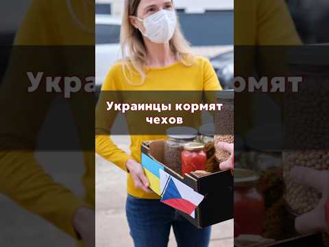 Украинские беженцы приносят немалый доход Чехии. #чехия #работавчехии #беженцывчехии #жизньвчехии