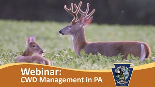 Information CWD Management in PA: What’s New for 2020 News