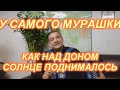 У САМОГО МУРАШКИ! КАК НАД ДОНОМ СОЛНЦЕ ПОДНИМАЛОСЬ! Под гармонь!