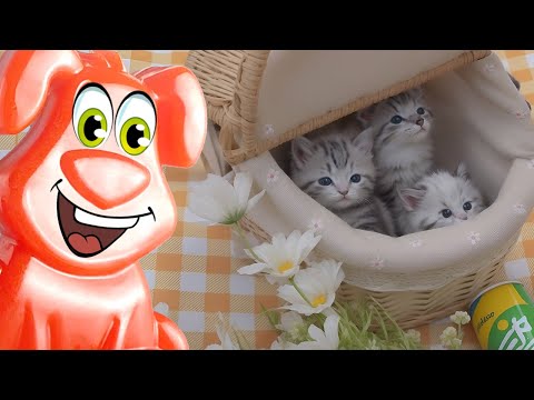 Видео: Котята пригласили желейного Стасика на Новый год
