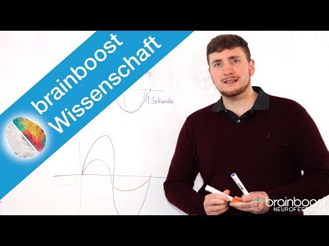 Wissenschaft einfach erklärt