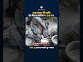 New #india में बच्चों को ऐसा मिल रहा Mid Day Meal #upnews #middaymeal #viralshorts #govtschool