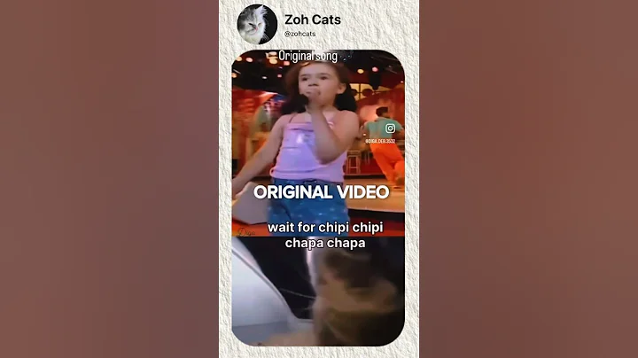 Chipi Chipi Chapa Chapa Original Song with Lyrics | Funny Meme Cat Video