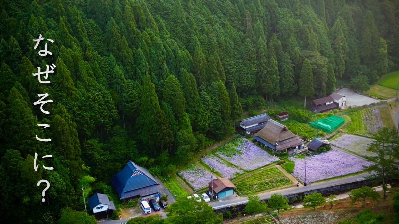 No. 1【初夏の紀の川里風景】 5 Hidden Summer Views in Quiet, Old Japan - YouTube