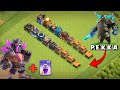 P.E.K.K.A VS Every Max Town Hall | P.E.K.K.A King - Clash of Clans