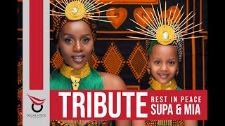 Visual Tribute To Super Shakira Rest In Peace