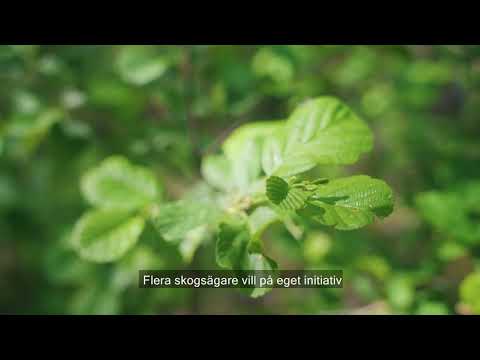 Video: Vad är syftet med lagen om skydd av livsmedelskvalitet?