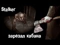 Stalker Online. Тайный фарм