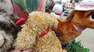 Valentine's Day Dog At Walmart - Feb. 2021 screenshot 3