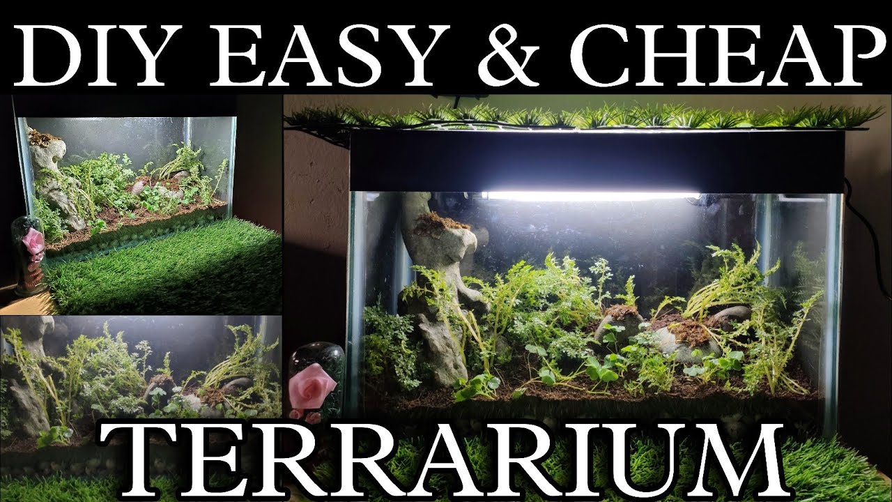 DIY Terrarium At Home ( Easy & Cheap) [ TMG Hindi ] YouTube
