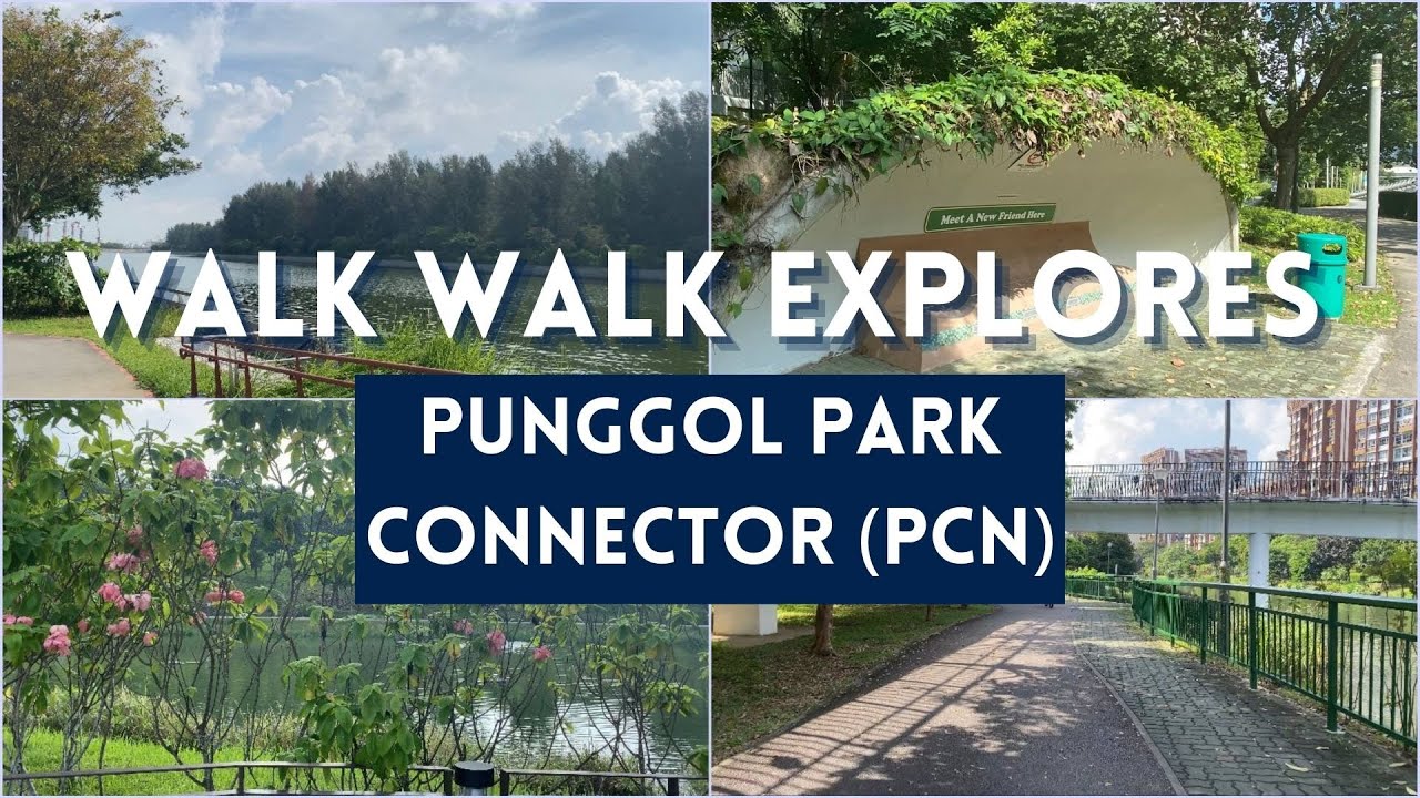 Cycling Punggol Park Connector Network (PCN) | Walk Walk Explores