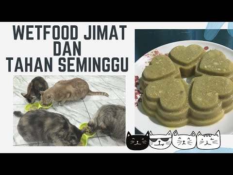 Video: Mengimbangkan Makanan Dan Rawatan Haiwan Peliharaan