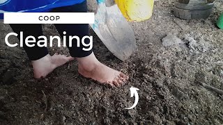 Cleaning the chicken coop barefoot and putting fresh bedding | Barefoot farming & gardening