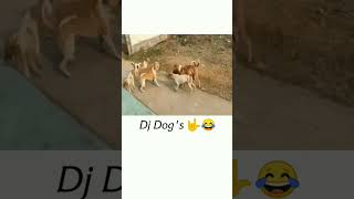 Download Lagu D.j dogs song MP3