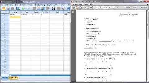 SPSS Questionnaire Survey Data Entry   Part 1