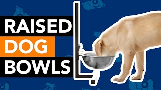 Are Raised Dog Bowls Good