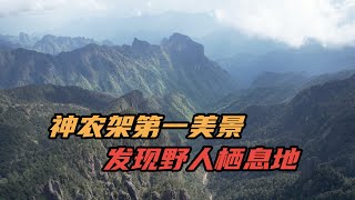 神农架第一美景，神农顶，发现野人栖息地