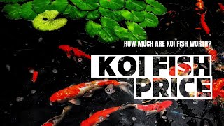 How Much Are Koi Fish Worth ?