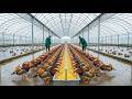From Tiny Egg to Million-Duck Empire: The Mandarin Duck's Unbelievable Journey 🦆✨ (ASMR Documentary)