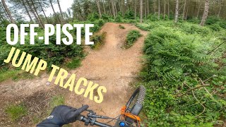 Riding Epic MTB Jump Tracks at Cannock Chase