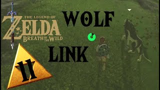 Zusammen mit Wolf-Link Monster besiegen / The Legend of Zelda Bresth of The Wild #11