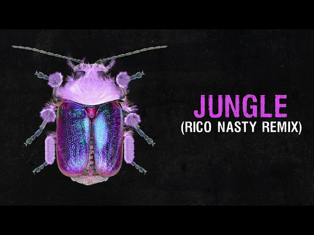 Rico Nasty X Fred Again - Jungle (Remix)