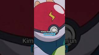 Pokétopunun İçinde Yaşam Nasıl?